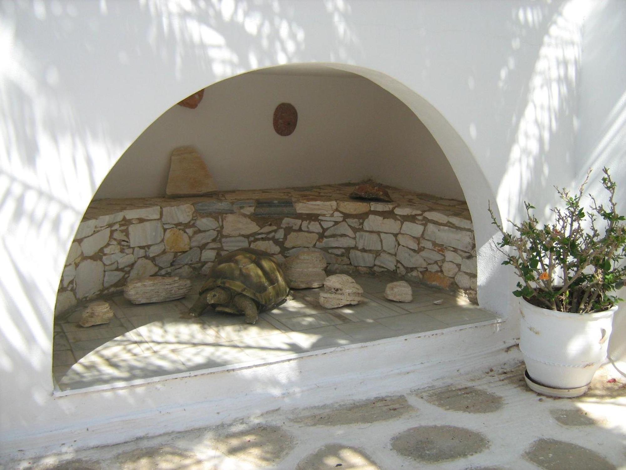 Nicos Studios & Apartments Logaras Exterior photo
